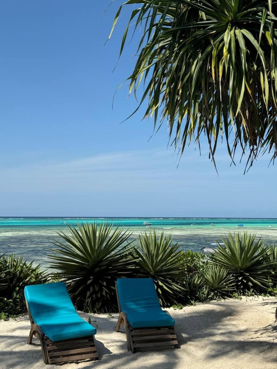 Bitcoin Beach Hotel Zanzibar Michamvi Exterior foto
